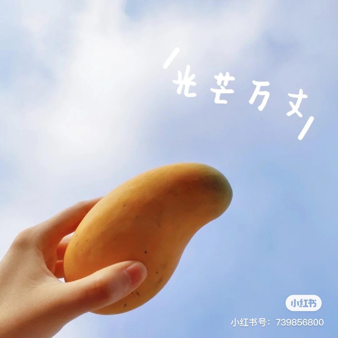 飞鸟