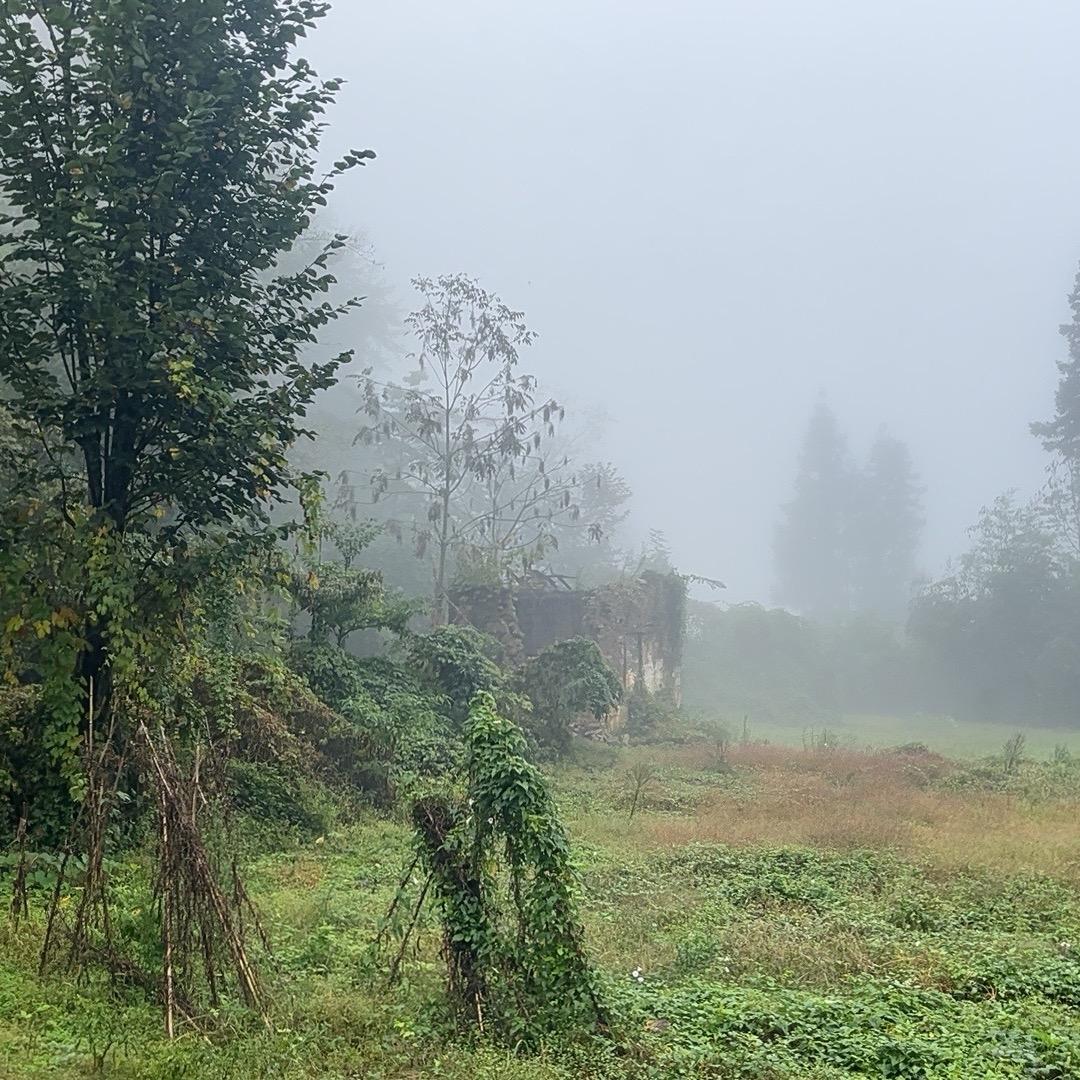 高山好味道腊货