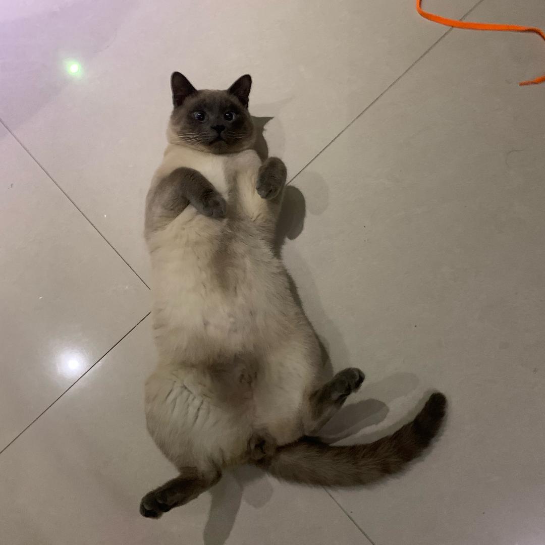梅超风