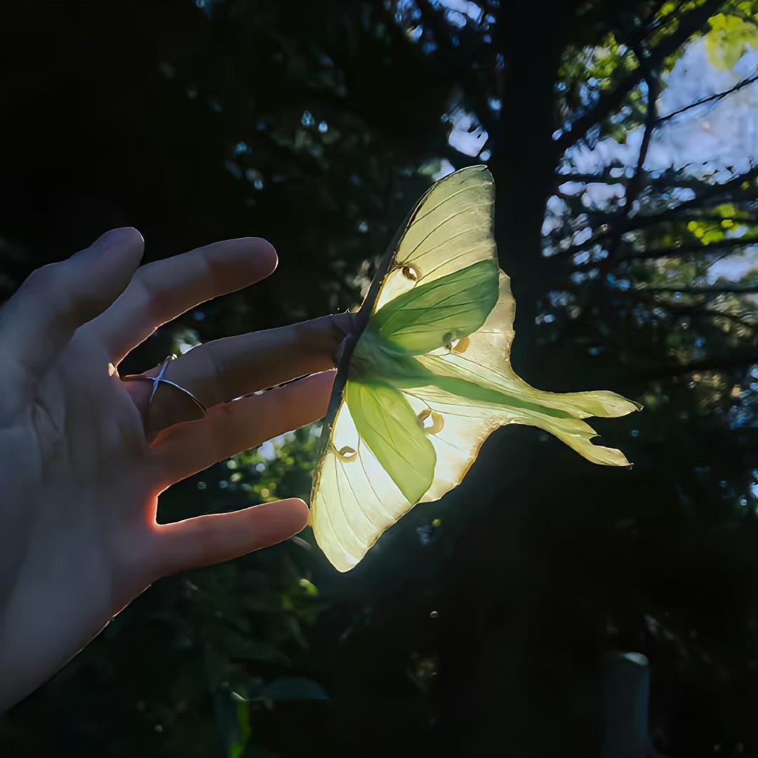 黄黄这个乘乘的🧡