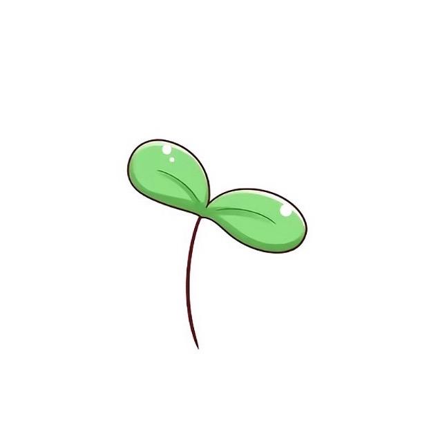 ㅤㅤㅤ ㅤ