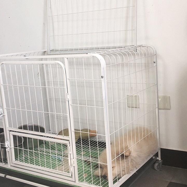国学文化-0