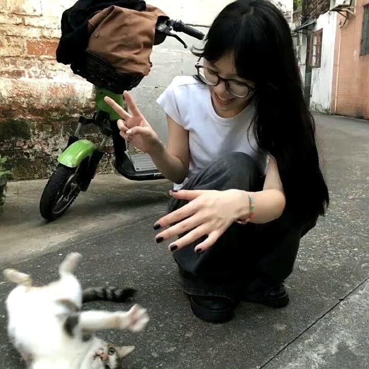 小猫酱