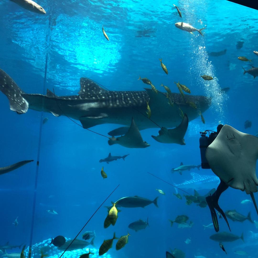 兴茂华国潮严选