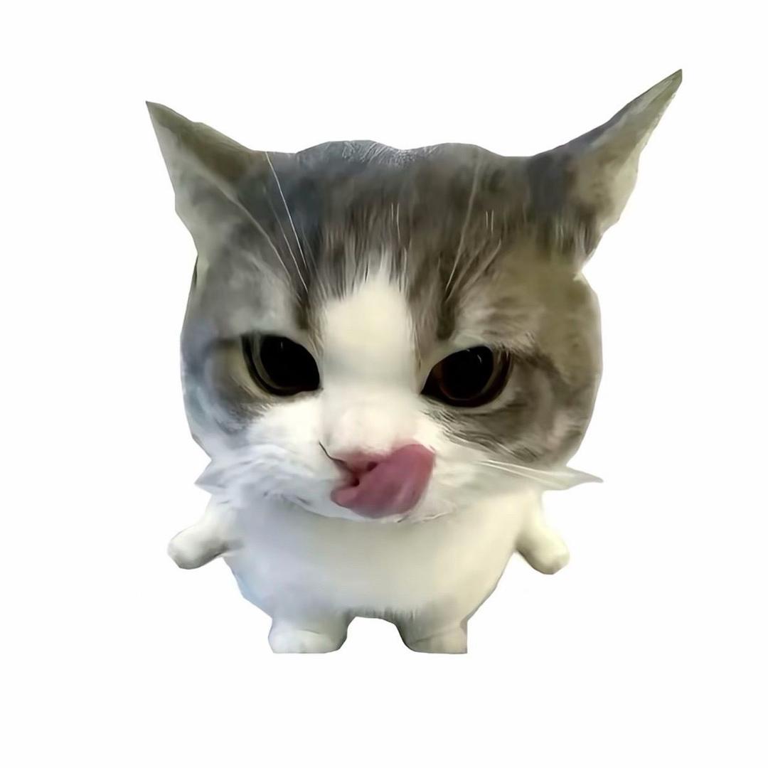 真的吃不饱