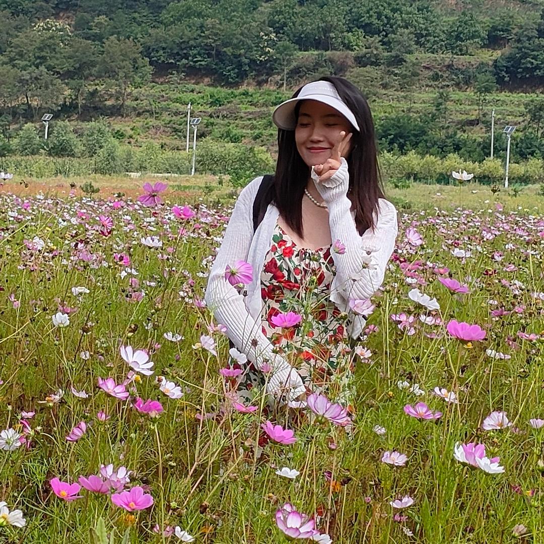 爱旅游的小丑鱼
