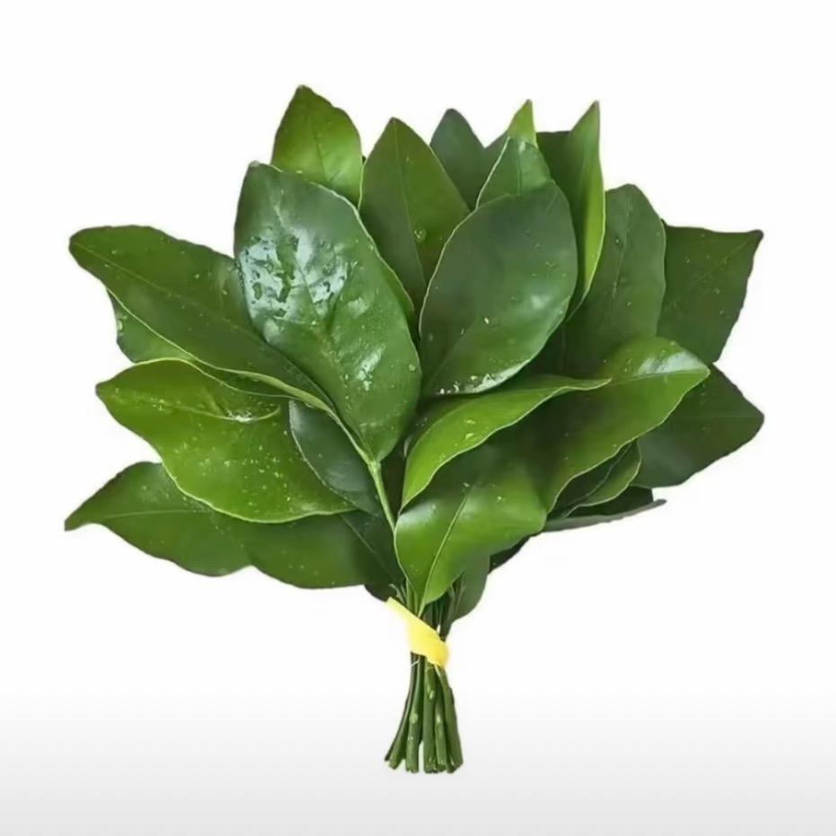 吃饱了睡醒继续吃