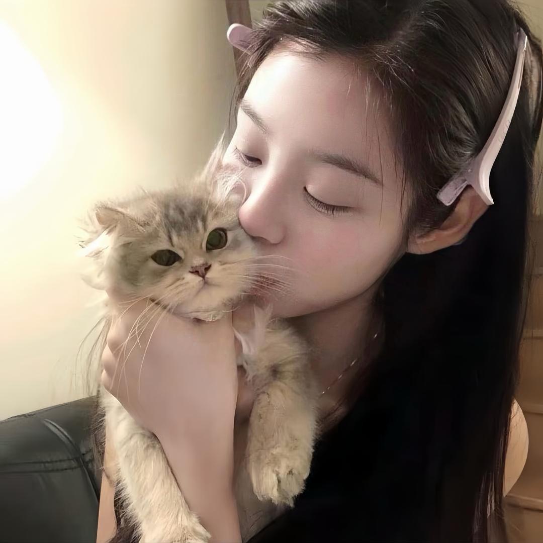 puppy（打小呼噜版