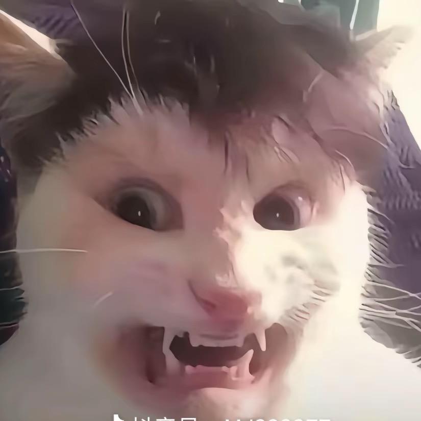 姑娘y