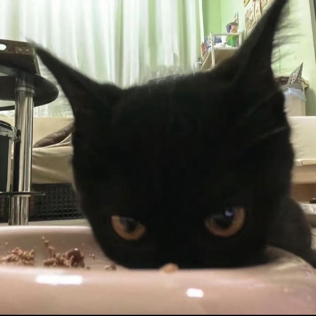 我害怕人