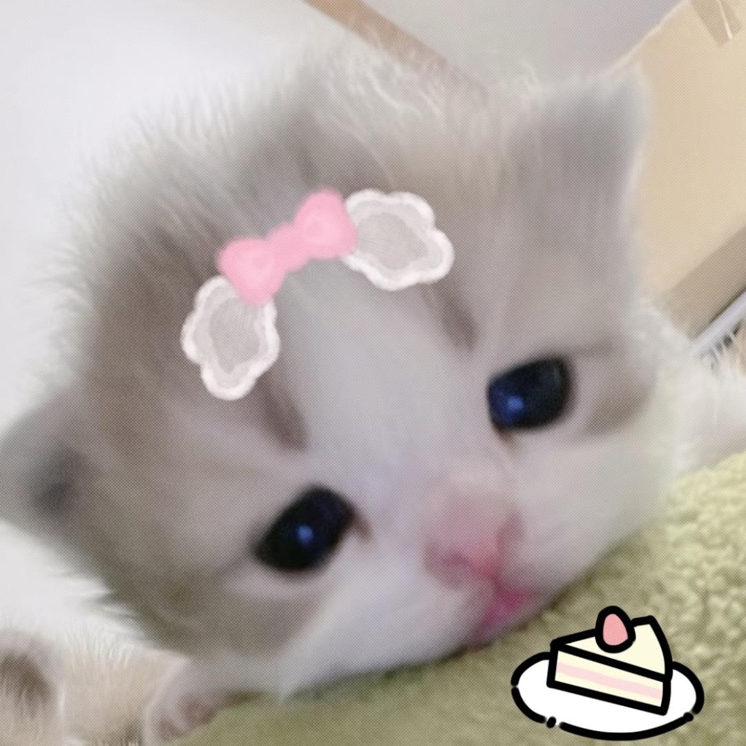 我是女明星.