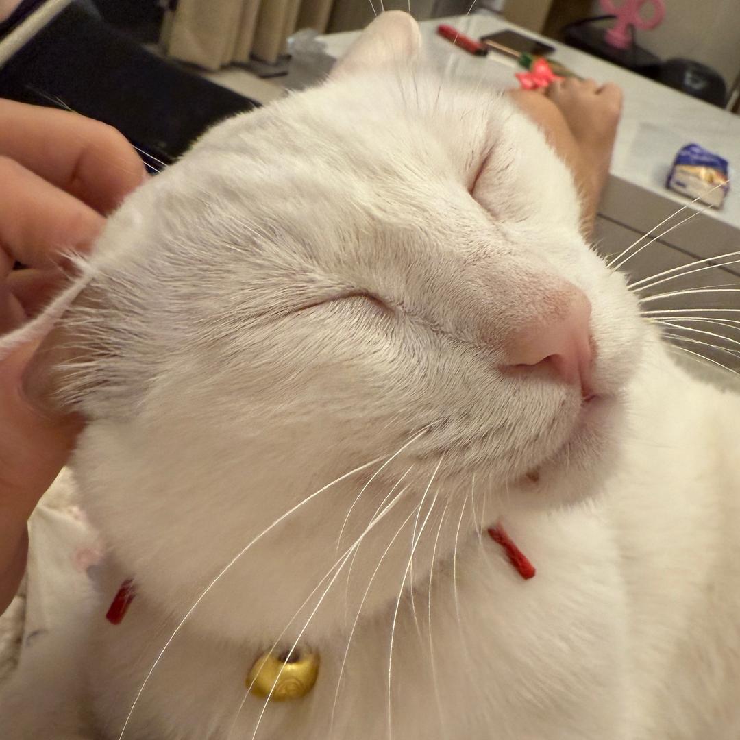 小眯杂货铺