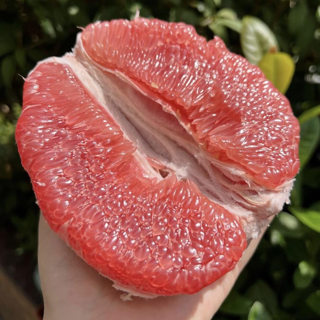 红心蜜柚新鲜现摘