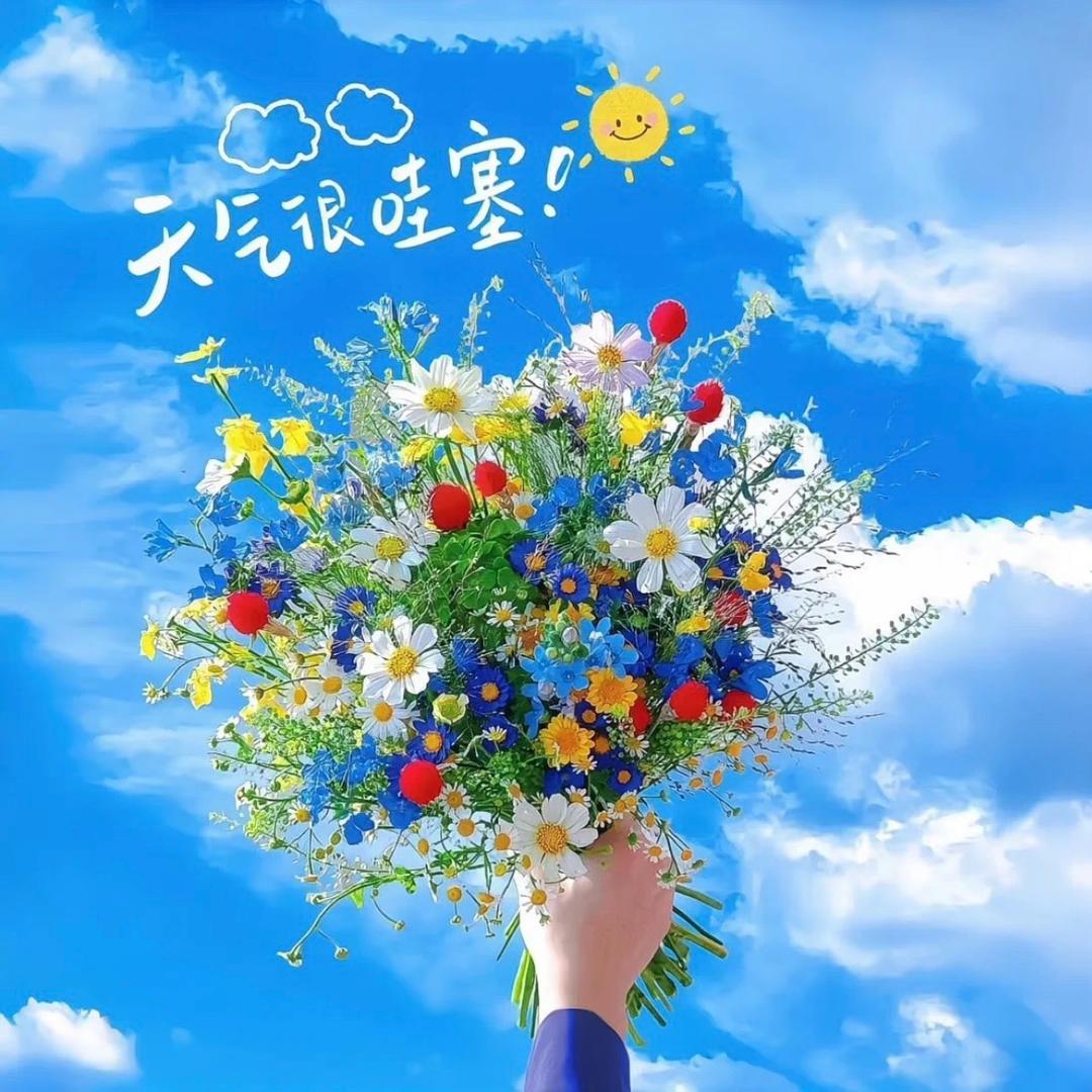🎈韩七