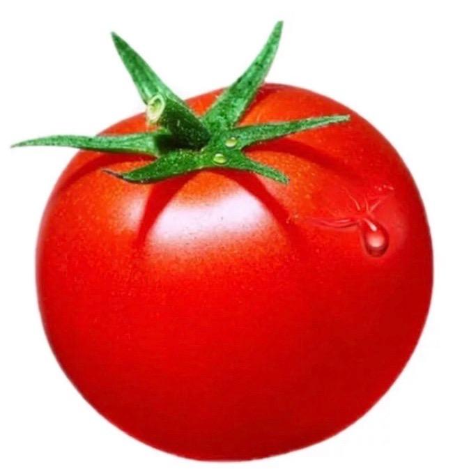 苏干番茄🍅
