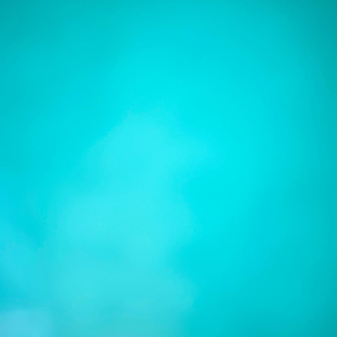 利子