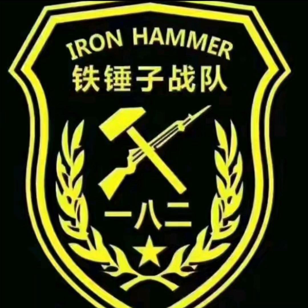 🔨铁锤子🔨