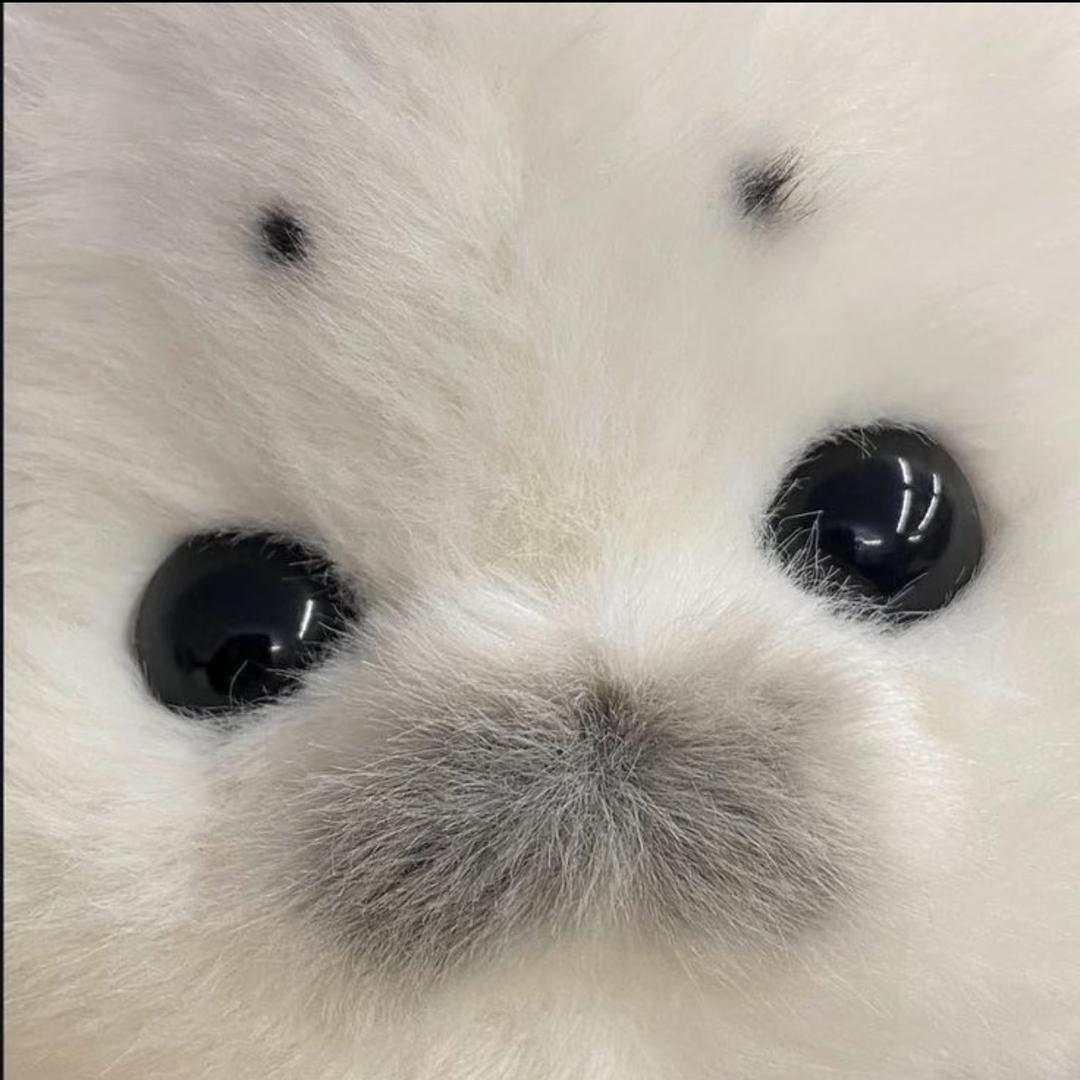生猛海鲜