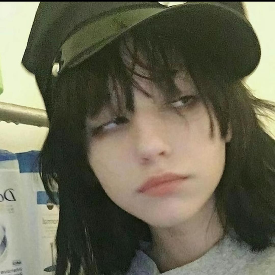 喜欢晒太阳的猫