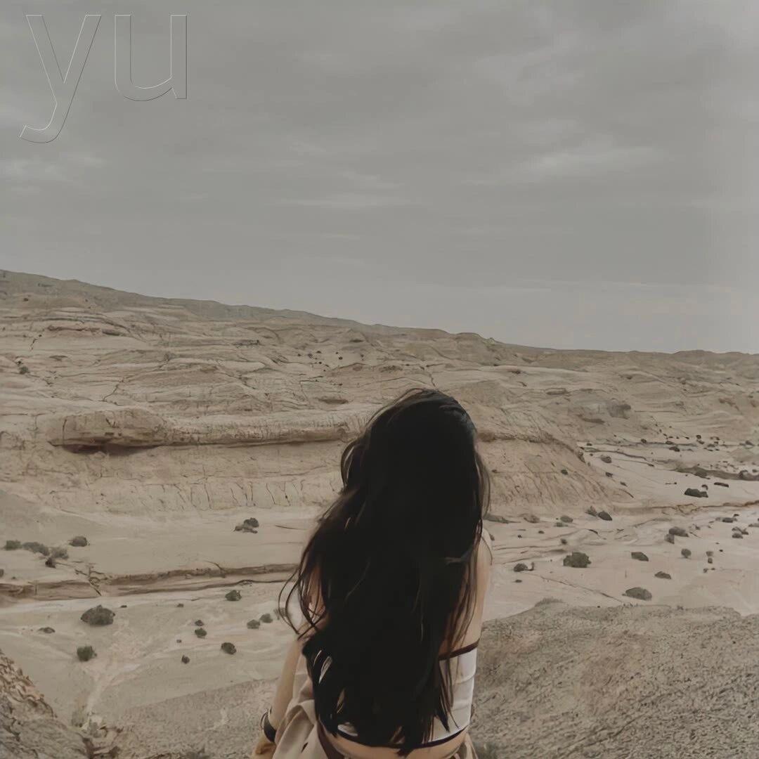 壳力治愈所 | 每日上新