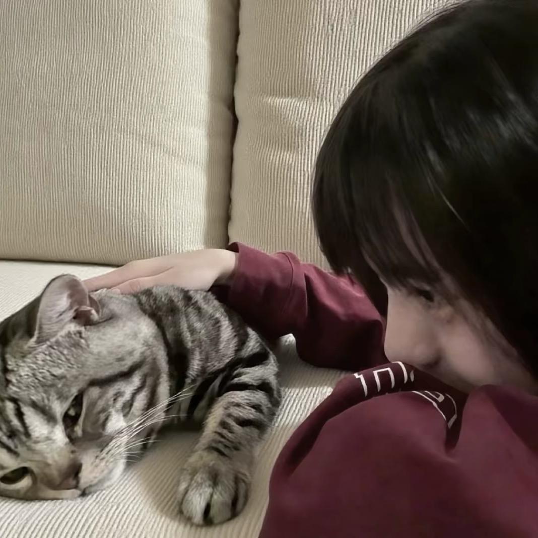 ㅤㅤㅤㅤㅤㅤㅤㅤ ㅤㅤ