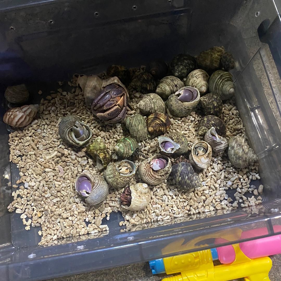 身高一米六几，体重一百八十来斤