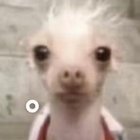 整容后crush成了恋丑癖