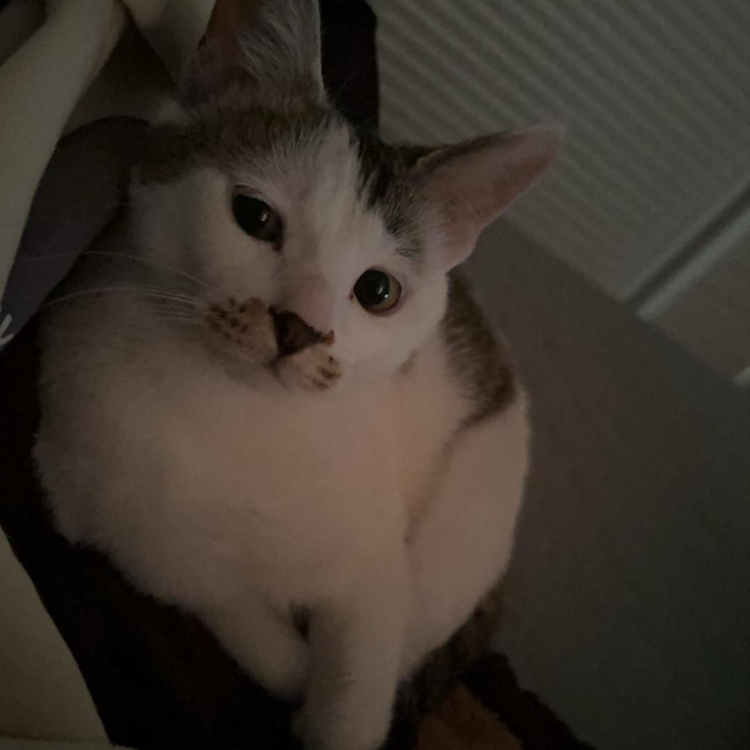 🇨🇳🇨🇳 🇨🇳🇨🇳 🇨🇳