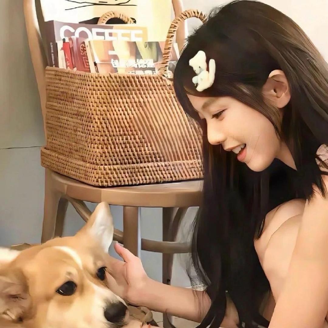 睡眠艺术家