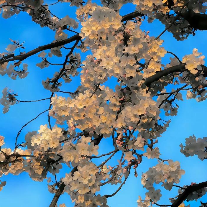 秋天.💐