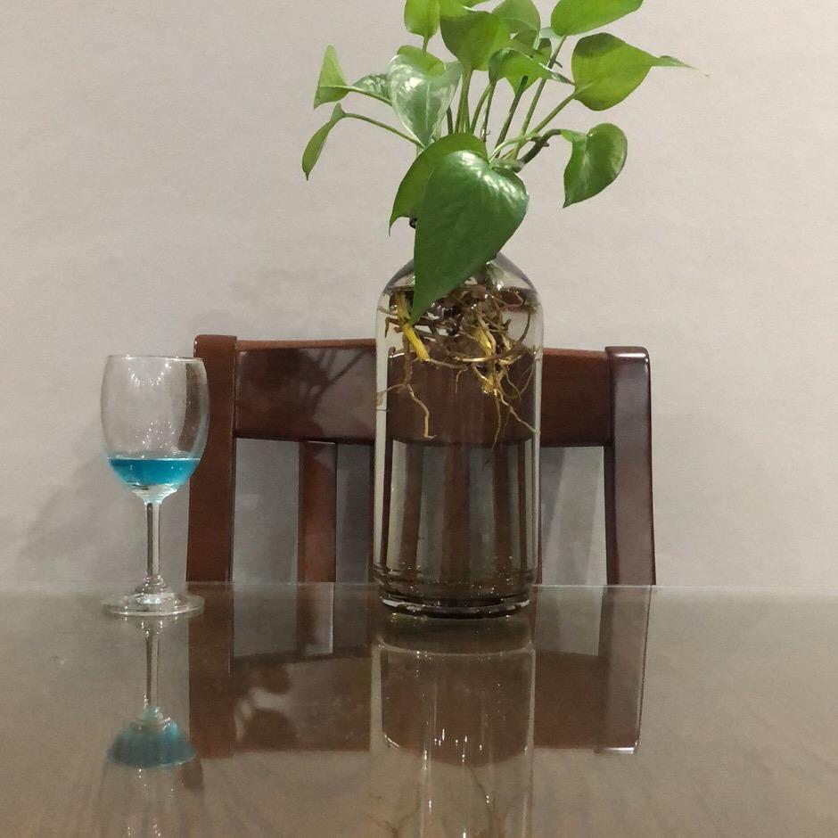 小酒窝8