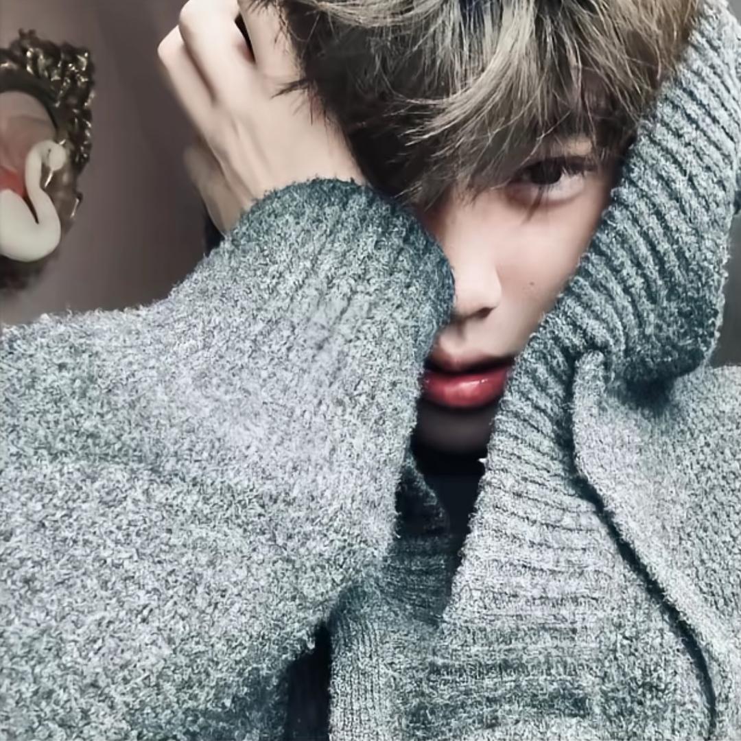 病液体猫（减肥版）