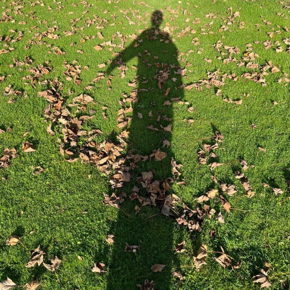 陈赫赫🥇▛▖▜▖▗