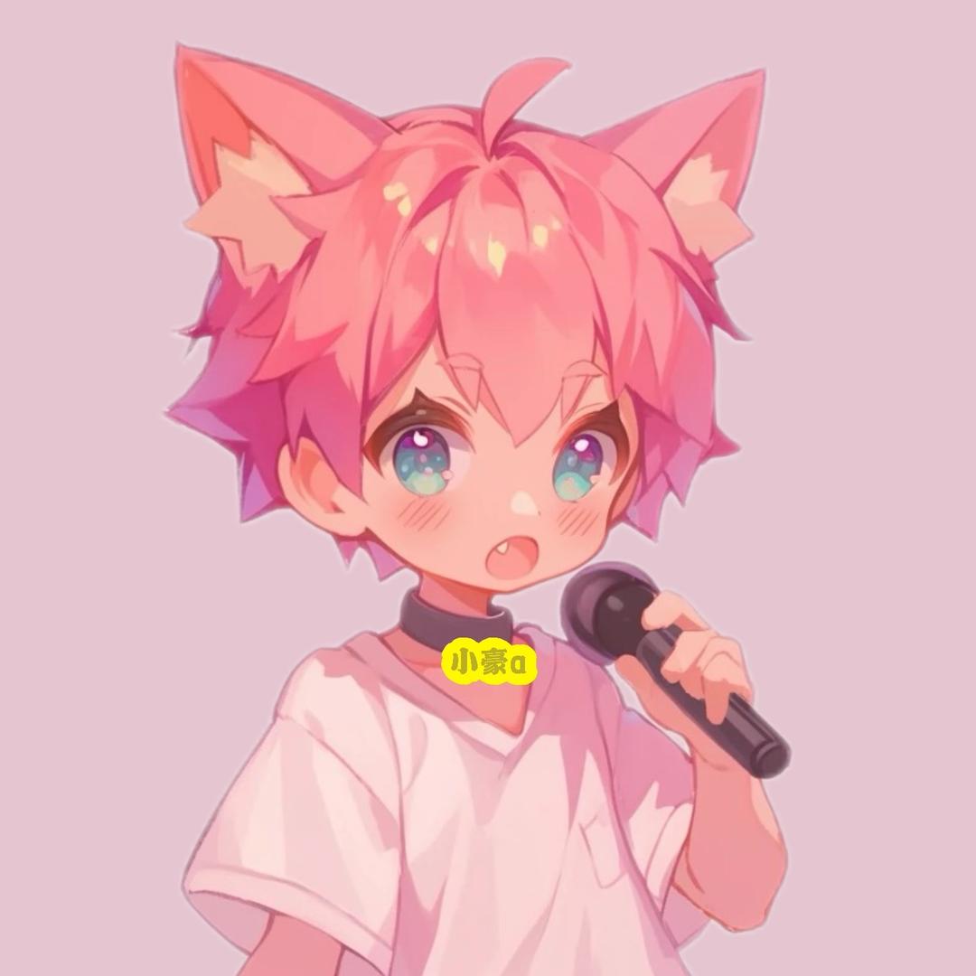 小豪a