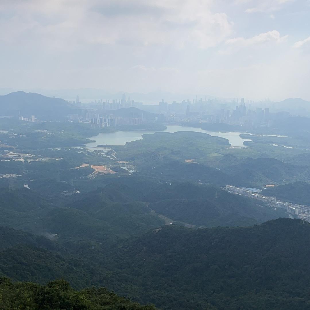 台尼哥艾豪