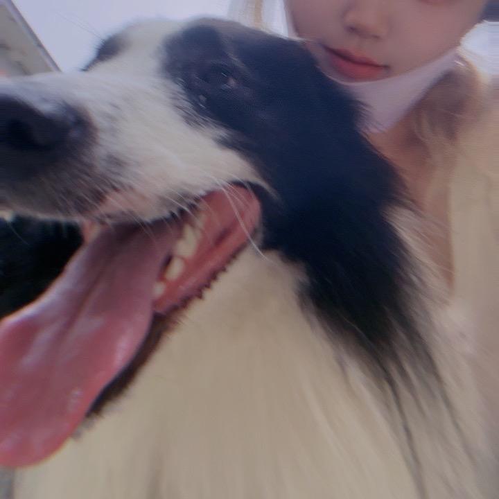 大小姐🐝🐛🐟🦐🦑🐙🐣