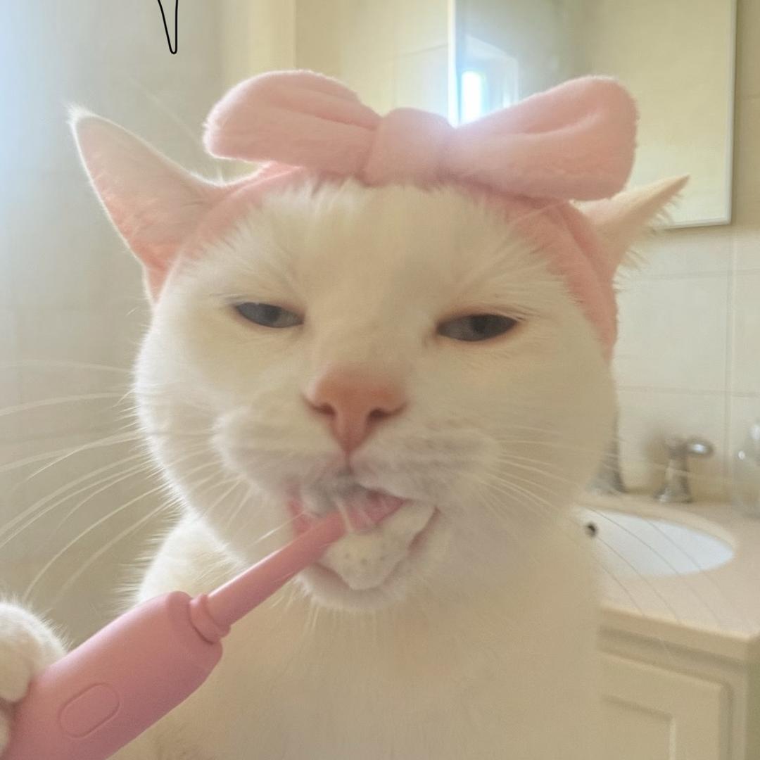 豆芽泥…