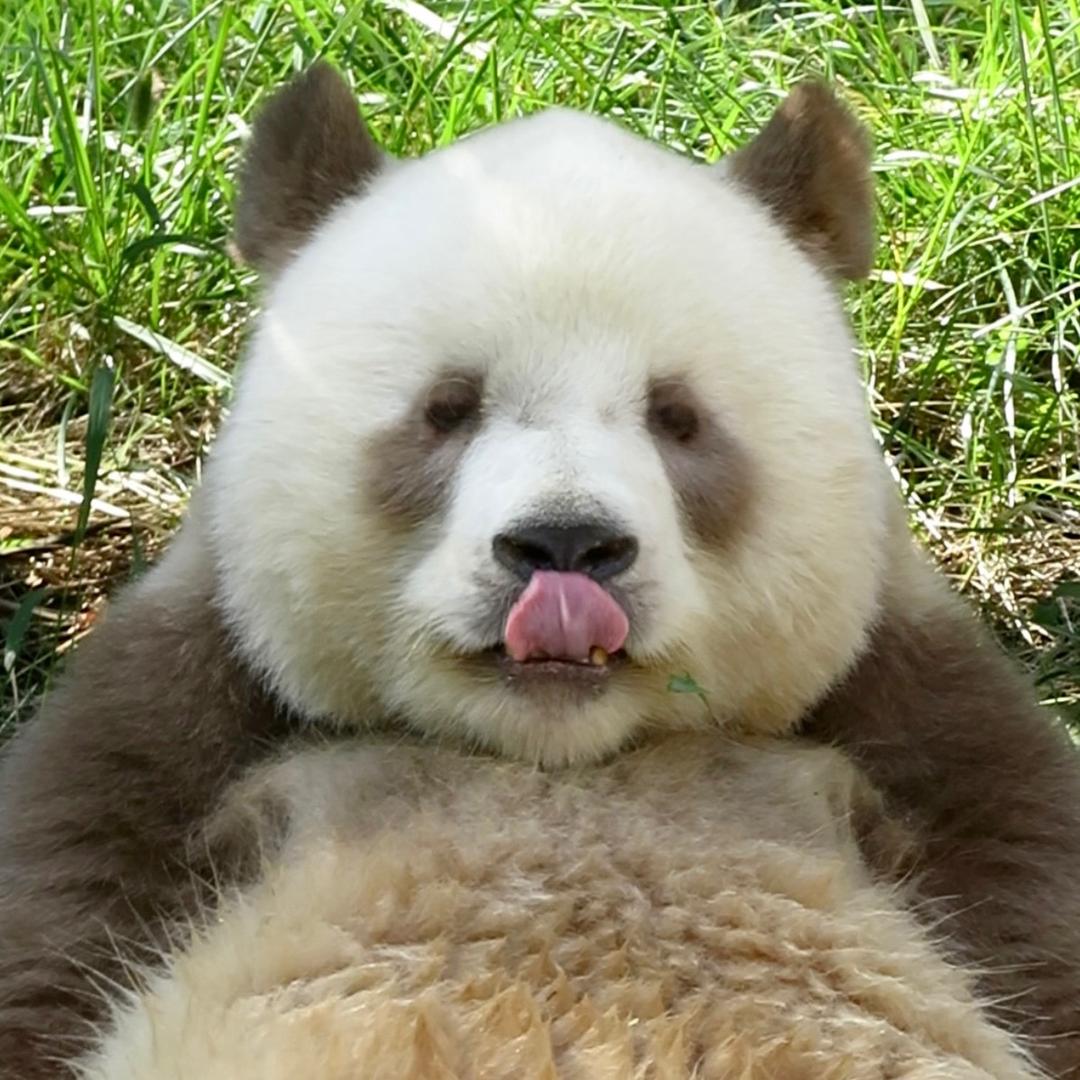 @七仔和它的小伙伴们