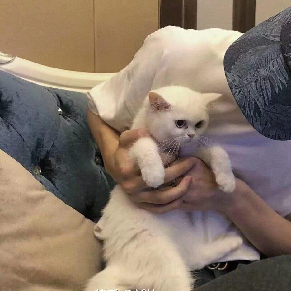 十八