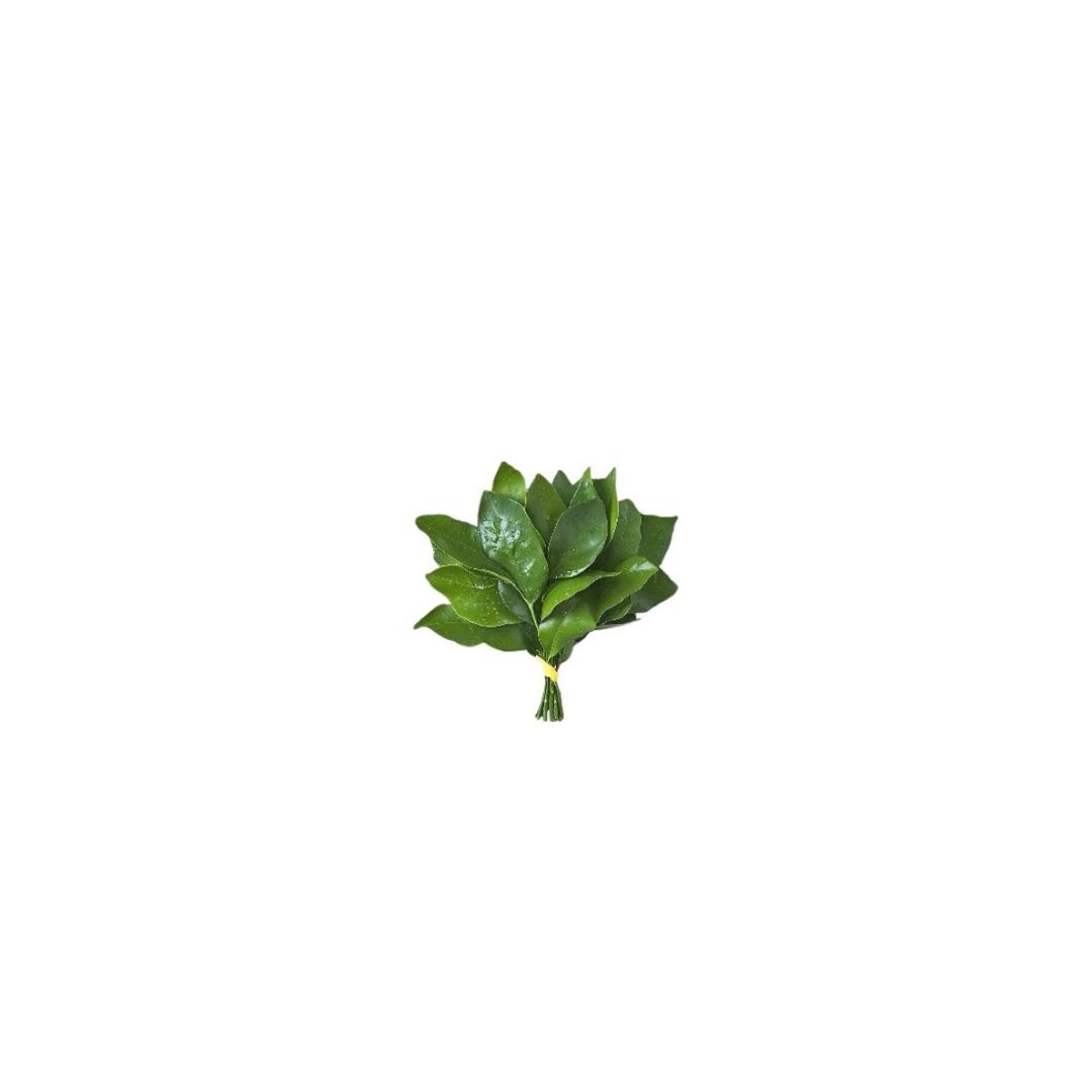 ·