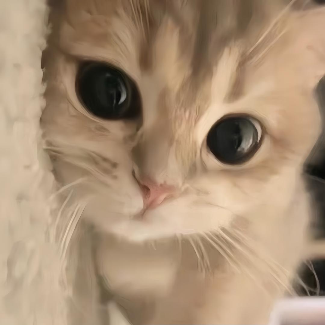 Xxiw头像