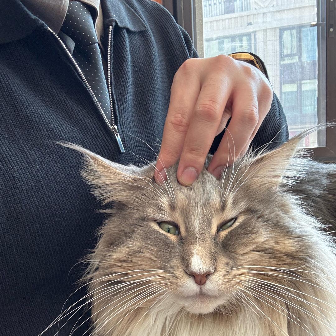 神秘学砖家 法信