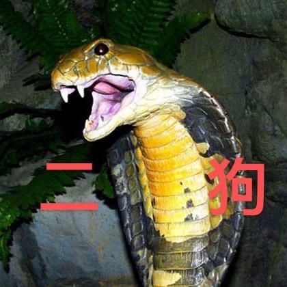 二狗东莞行乞记