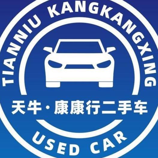 眉山康康行二手车