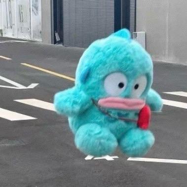 -🦩