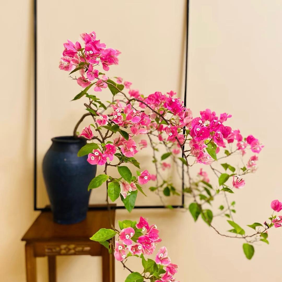 优优花卉