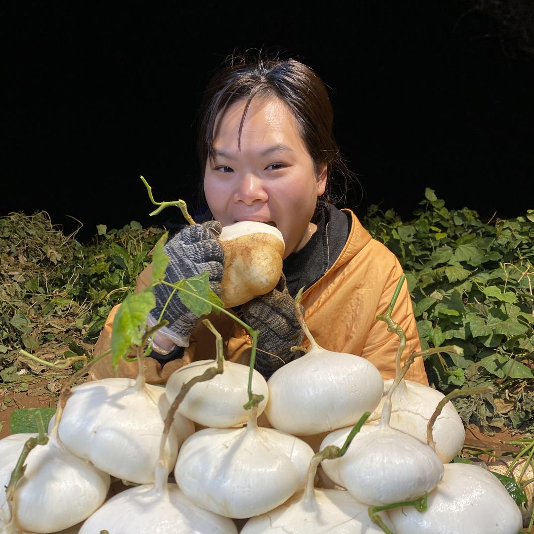 蔬记地萝卜