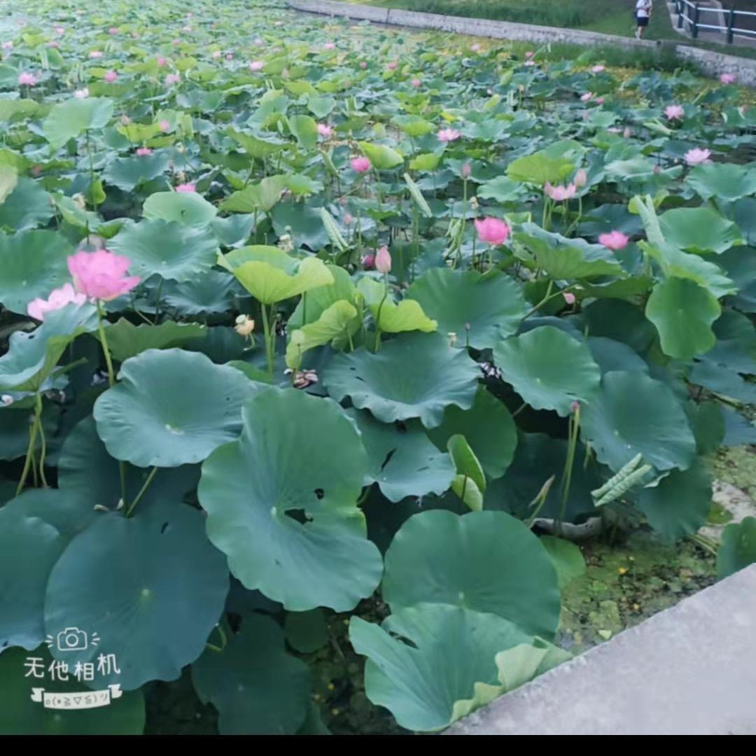 善德缘3