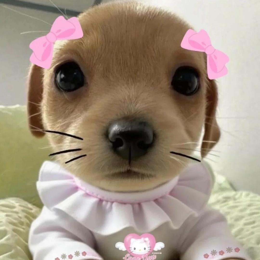 小云吞