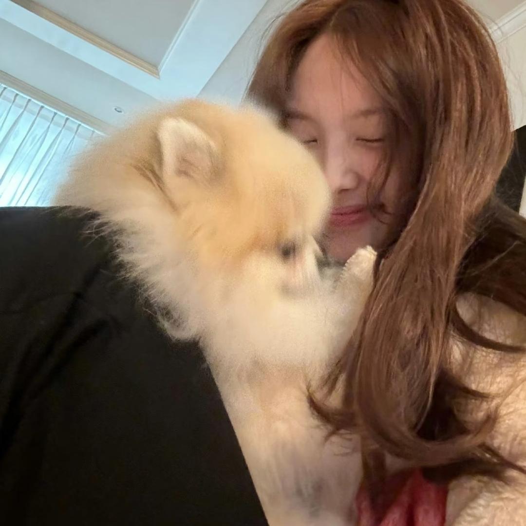 沉默的麦旋风